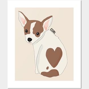 Cute chihuahua Posters and Art